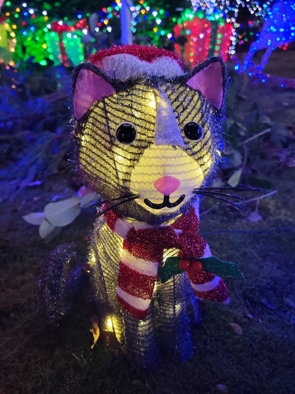 Image uploaded with update