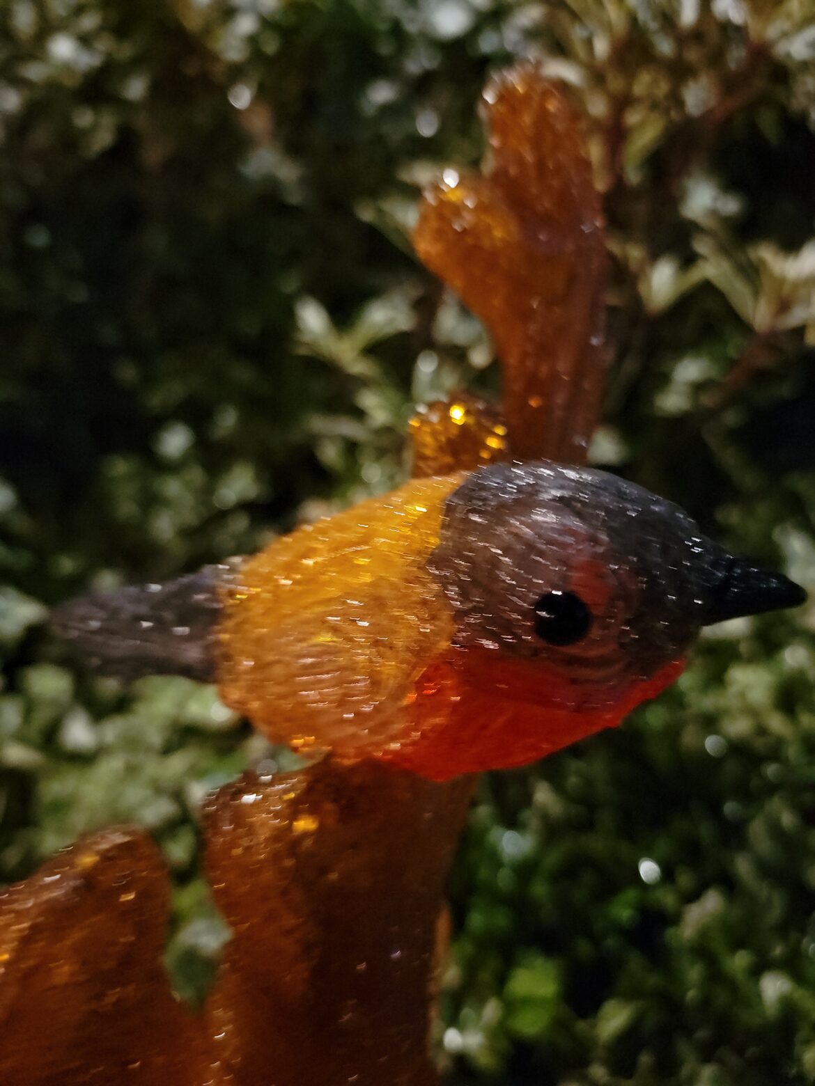 Image uploaded with update