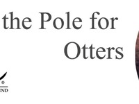 Stroll to the Pole for Otters