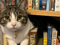 RSPCA Tameside and Glossop