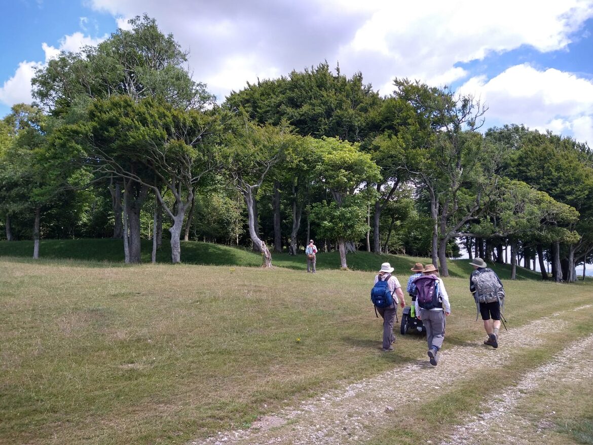 Image uploaded with update