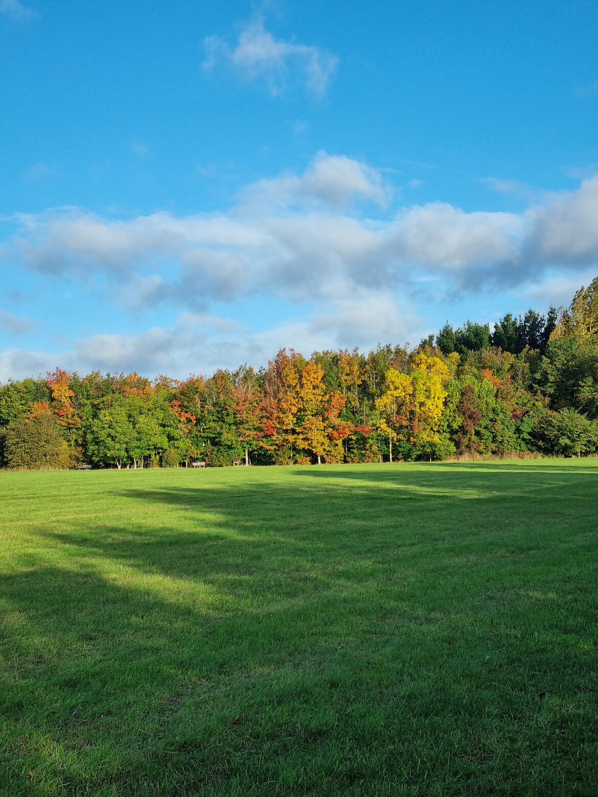 Image uploaded with update