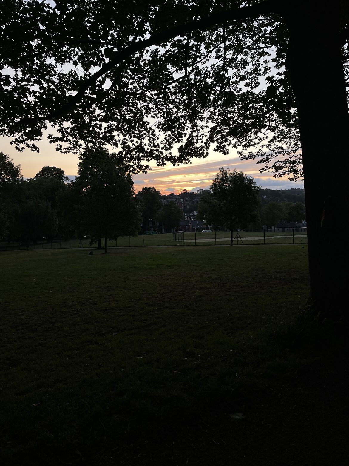 Image uploaded with update