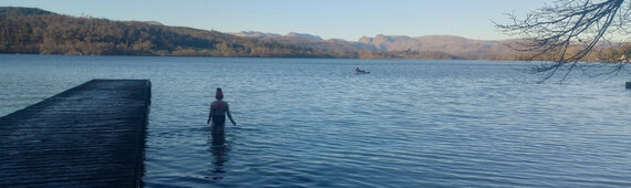 12 dips of Christmas