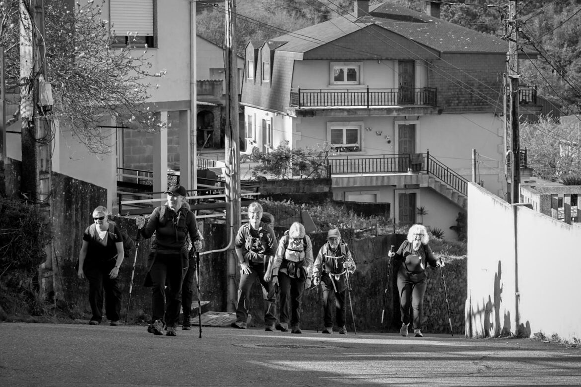 Image uploaded with update