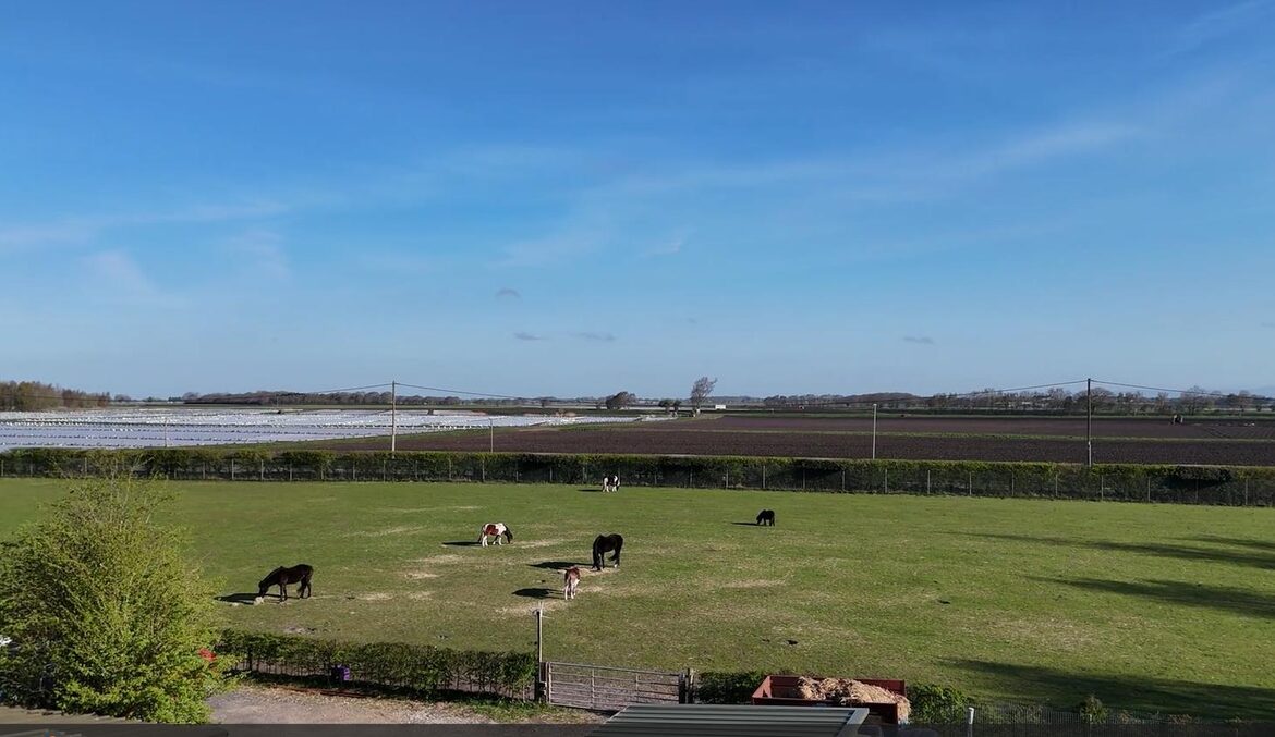 Image uploaded with update