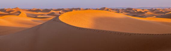 Stuart's Sahara Challenge