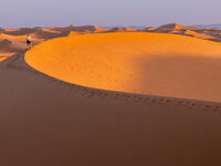Stuart's Sahara Challenge