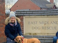 Christmas is coming at East Midlands Dog Rescue 
