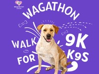 Walk 9k with your K9
