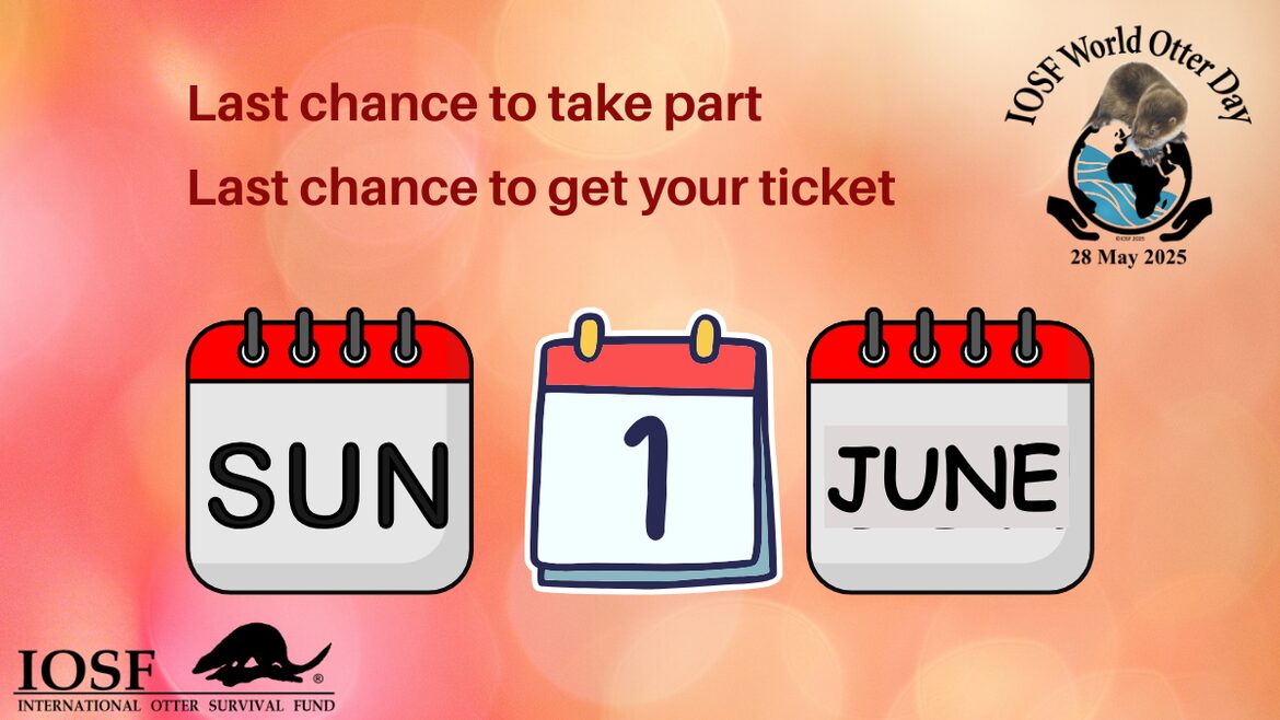 Image uploaded with update