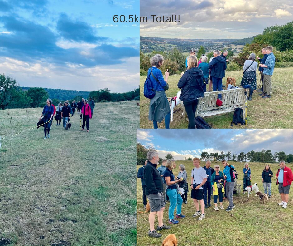 Image uploaded with update