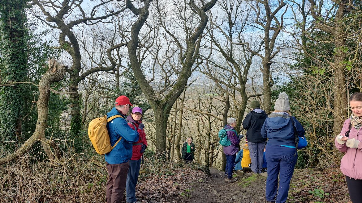 Image uploaded with update