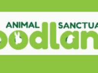 A Cup of Kindness for Merlin the pony! 