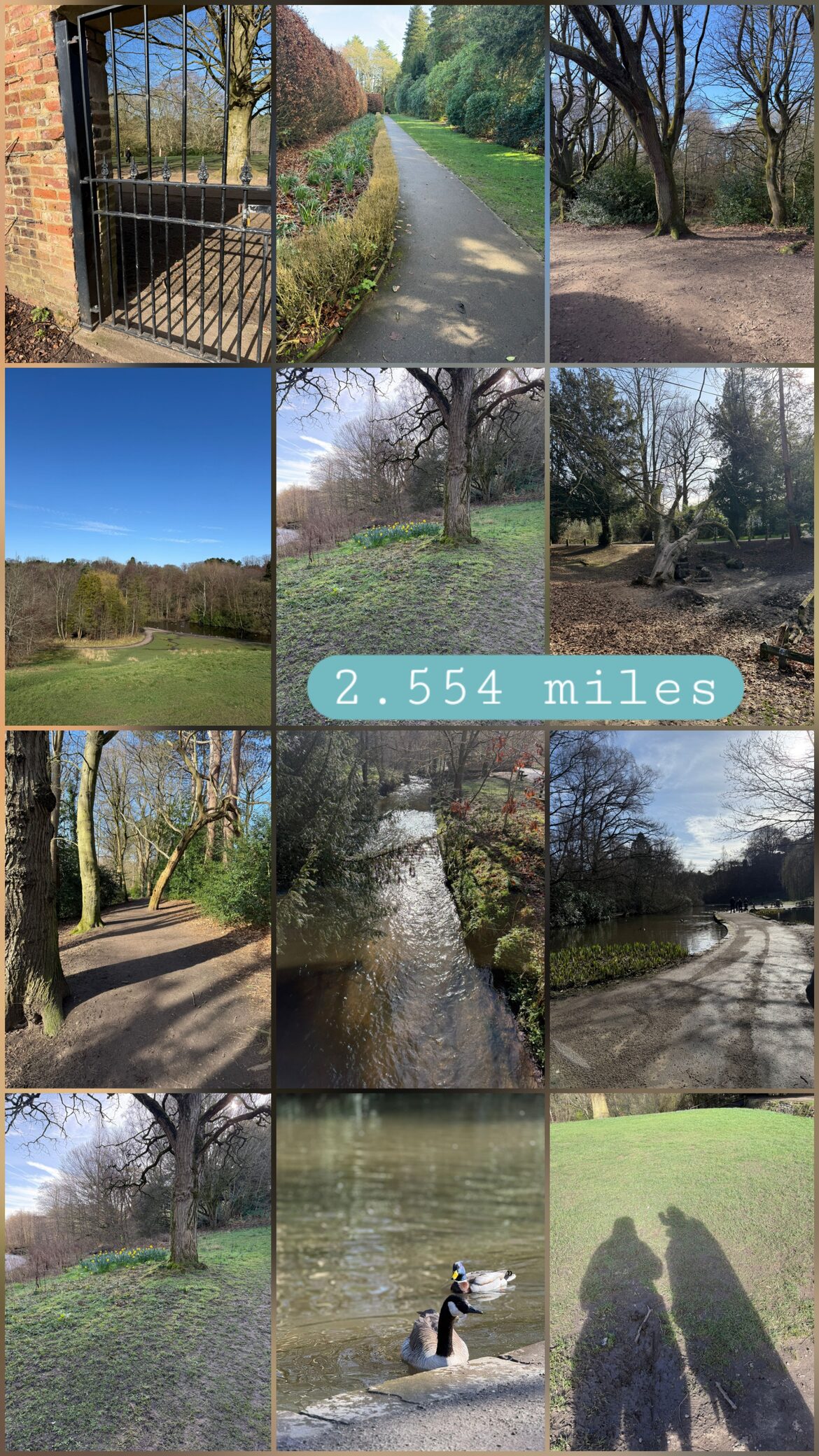 Image uploaded with update