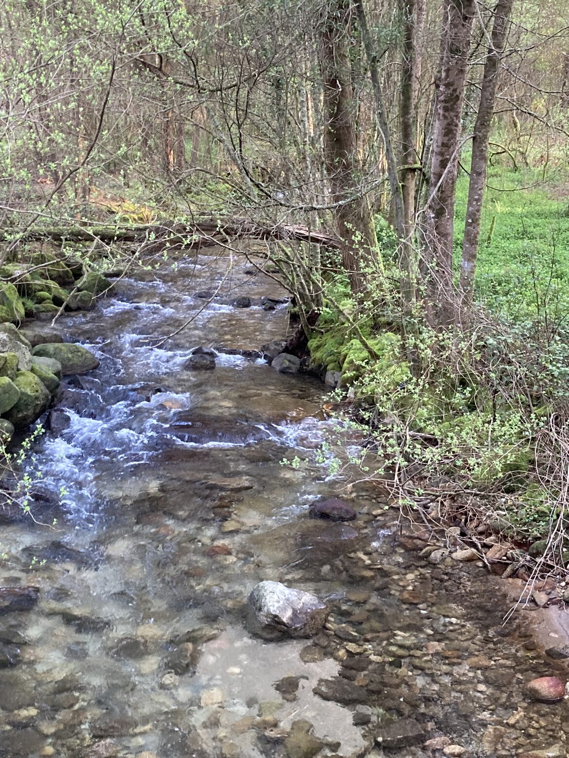 Image uploaded with update