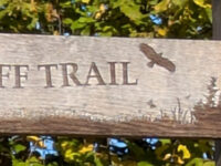 Zoe’s creating positivity from pain. Big trails in manageable bites