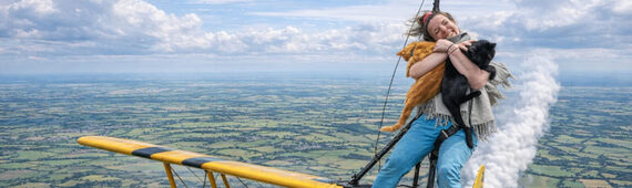 Feline fine fundraising challenge 