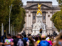 Chivonne's half marathon challenge
