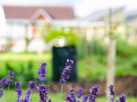 CREATE SPACE - New Classrooms