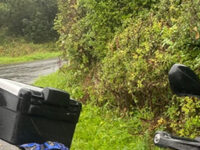 In Memory of Brian Jordison