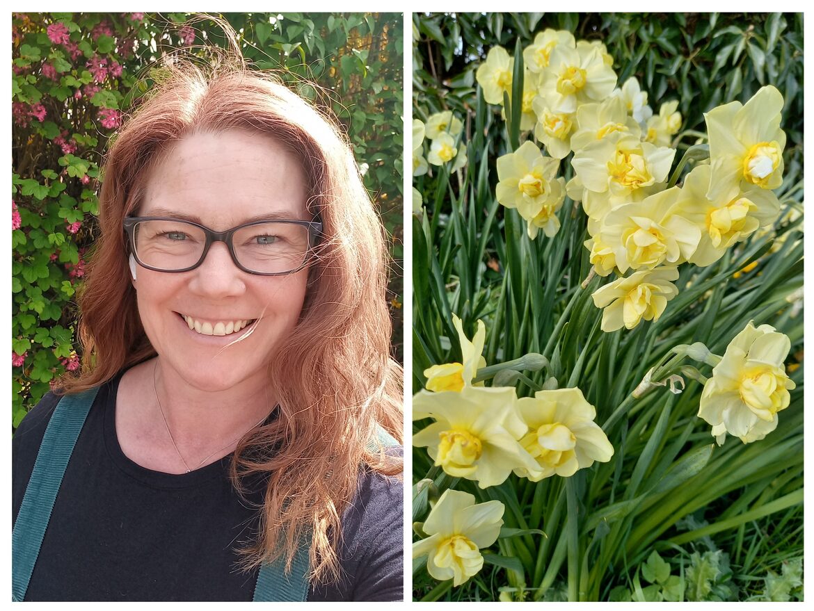 Image uploaded with update