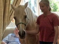 Bodster needs funds to continue their project of taking ponies to visit people in Residential Homes on the Isle of Wight 
