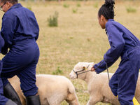 YPO Gala Dinner in aid of Farms for City Children