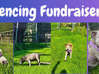 Fencing fundraiser