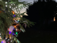 Horspath Village Tree of Light 2024