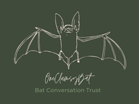 One Clumsy Bat Fundraiser