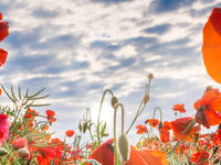 Believe! Explore! BE