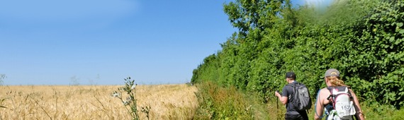 50k Chiltern Ultra Challenge