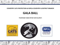 Donate to Coventry Cat Protection and RSPCA Coventry & District