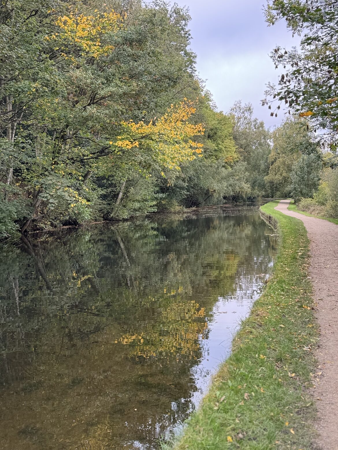 Image uploaded with update