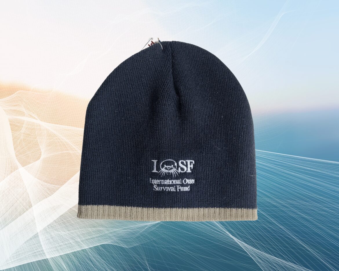 Image uploaded with update