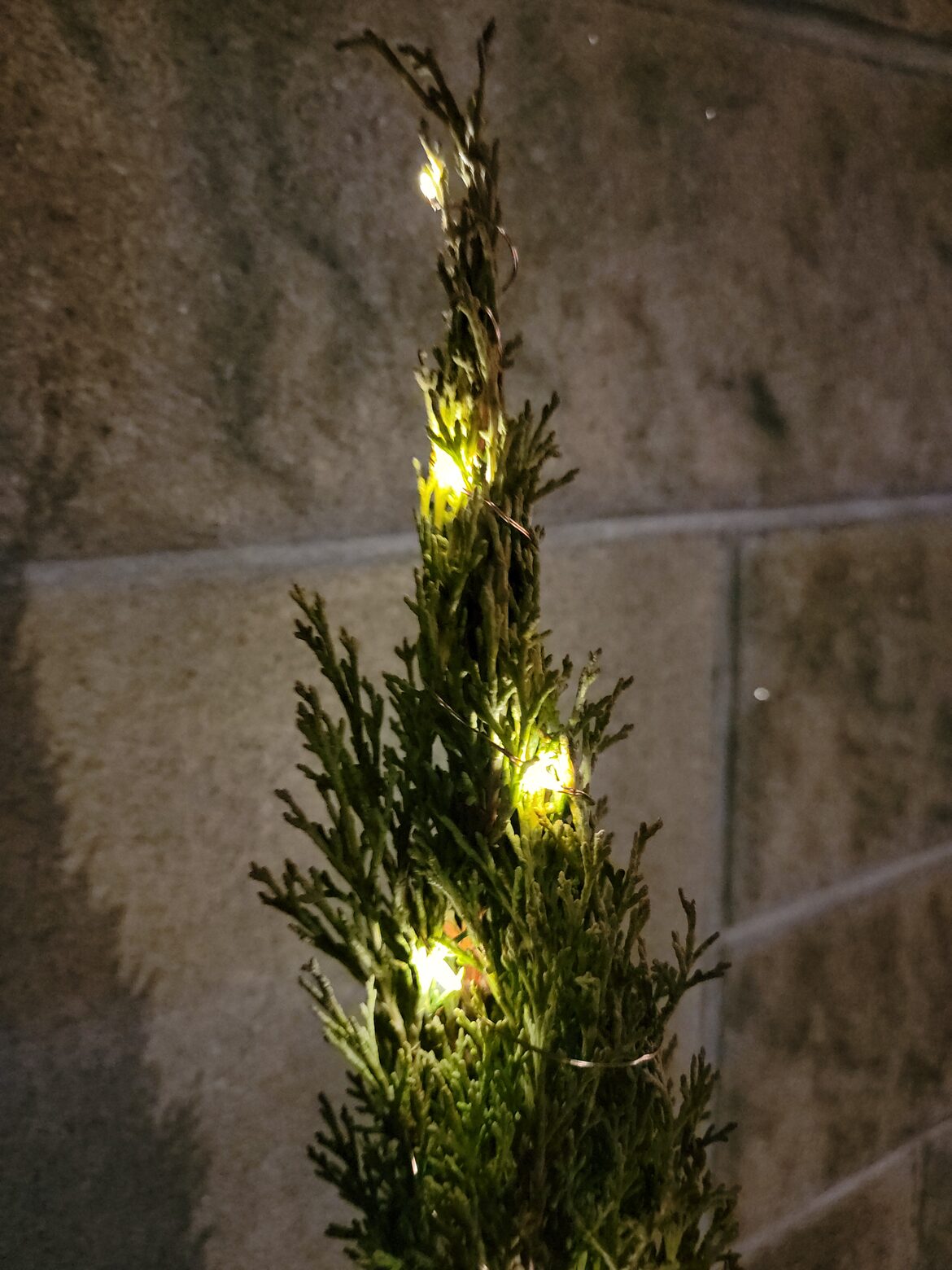 Image uploaded with update