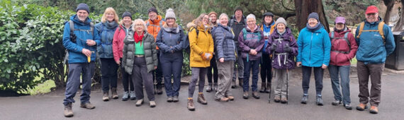 Jane G’s Camino walk 2026