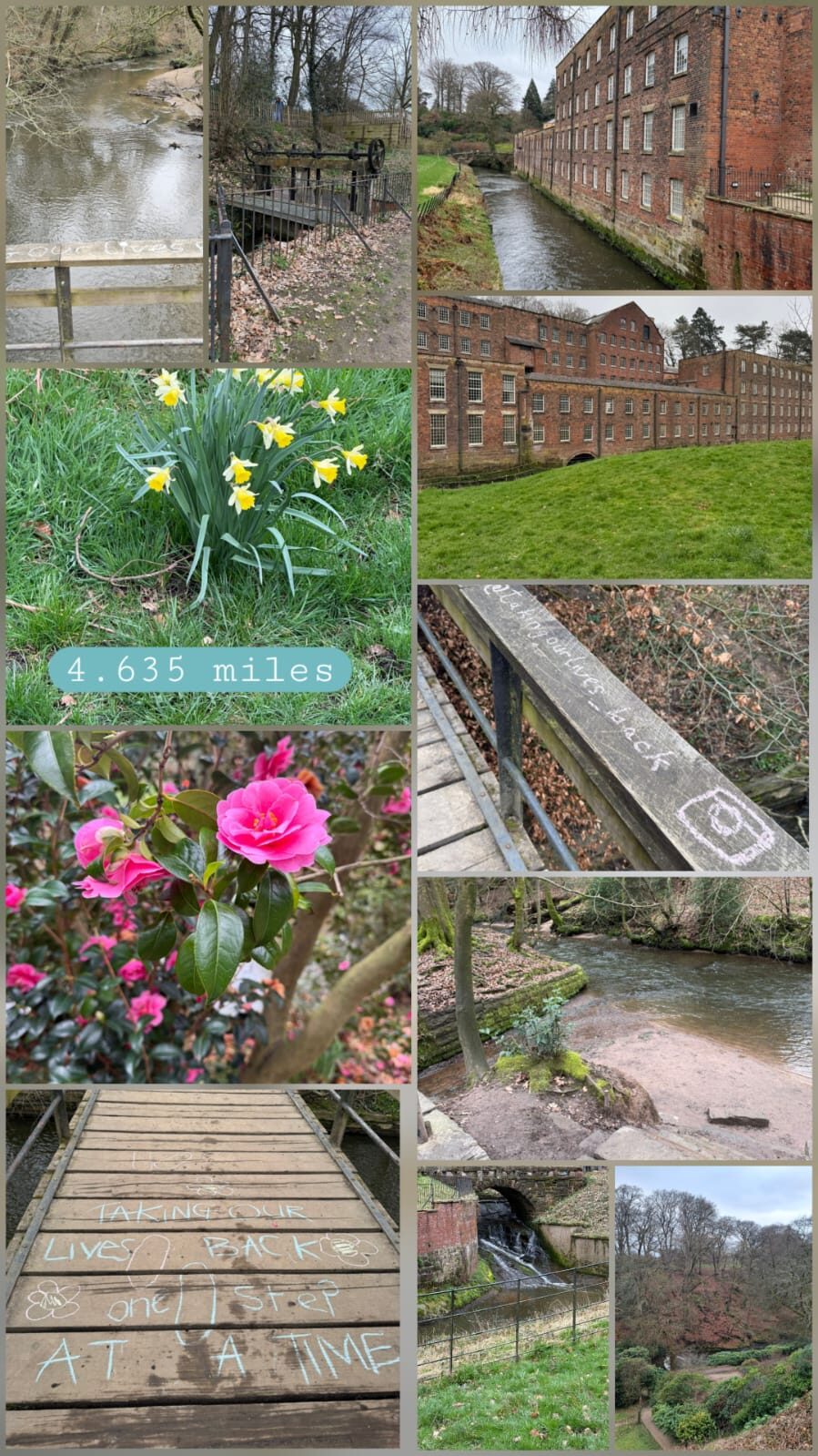 Image uploaded with update