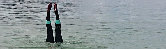 Fi's Kessock Ferry Swim