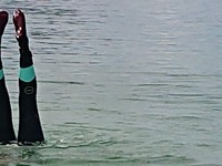 Fi's Kessock Ferry Swim