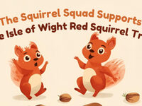 The Squirrel Squad's Big Push