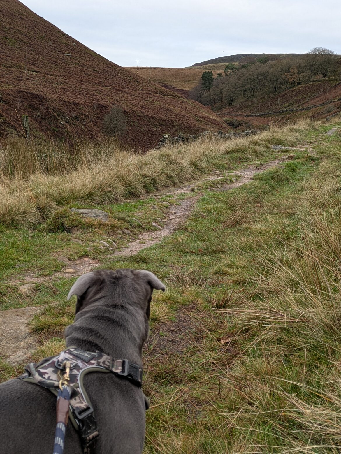 Image uploaded with update