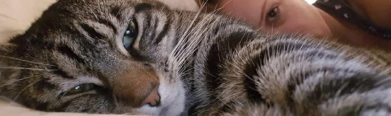 Flying for the Felines