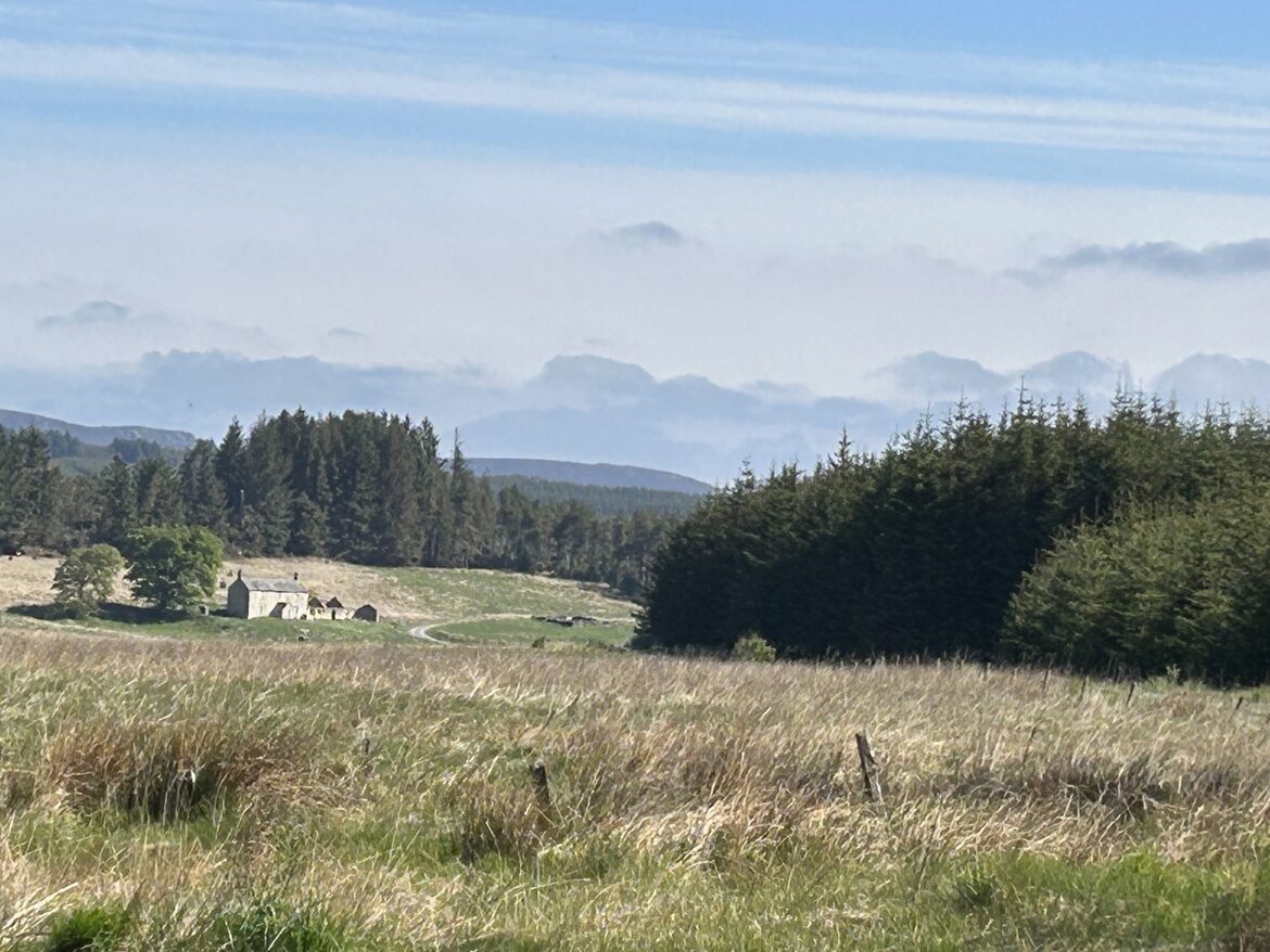 Image uploaded with update