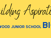 Building Aspirations: Ringwood Junior School BIG BUILD 