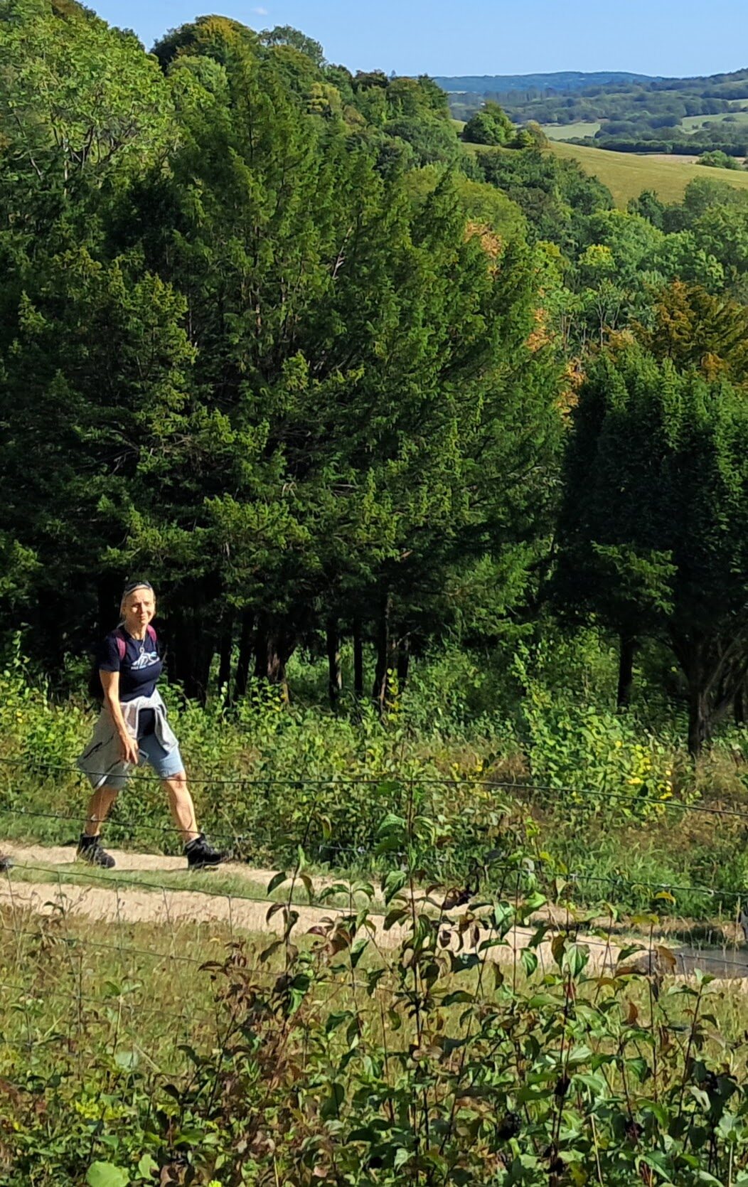 Image uploaded with update