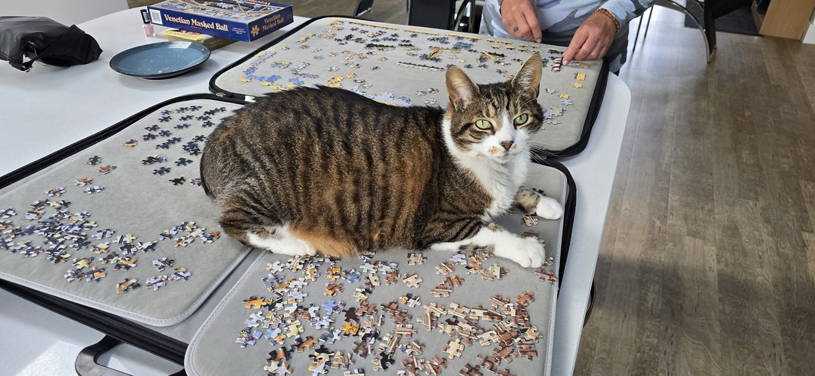 Image uploaded with update