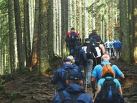 Castledon Greyhound Rescue Sponsored Walk