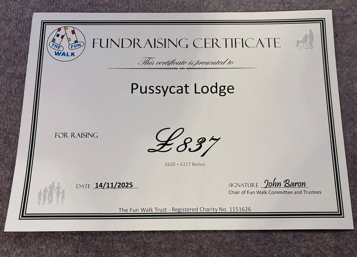 Image uploaded with update